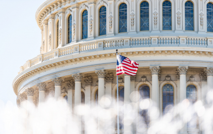 One side of the dome on the U.S. Congress building with the U.S, flag flying on a flag pole.