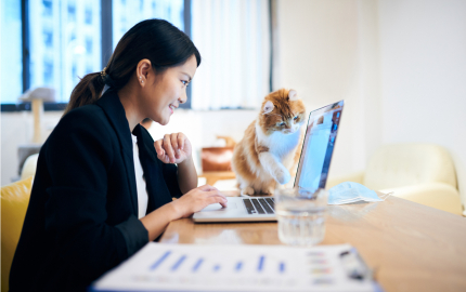Person working on a laptop as a cat looks at the screen.