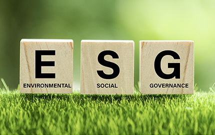 Three small wooden blocks on grass. The block on the left has a black E and the word environmental. The block in the middle has an S and the word social. The last block has a G and the word Governance.