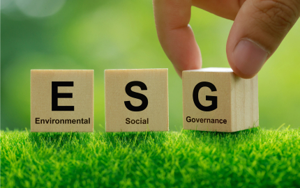Three small wooden blocks on grass. The block on the left has a black E and the word environmental. The block in the middle has an S and the word social. The last block has a G and the word Governance.