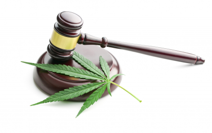A gavel and a marijuana leaf on a sound block.