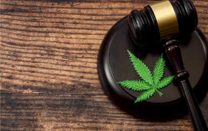 A gavel and a marijuana leaf patch on a sound block.